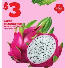 Loblaws LARGE DRAGONFRUIT offer