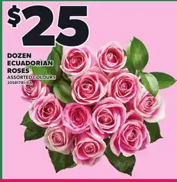 Loblaws DOZEN ECUADORIAN ROSES offer
