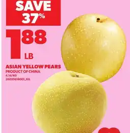 Loblaws ASIAN YELLOW PEARS offer