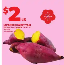 Loblaws JAPANESE SWEET YAM offer
