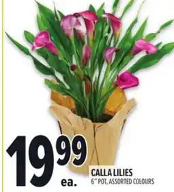 Metro CALLA LILIES offer
