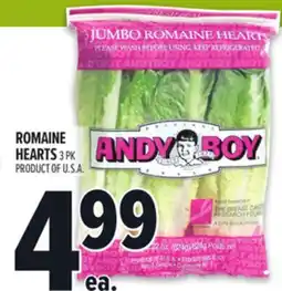 Metro ANDY BOY ROMAINE HEARTS offer