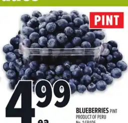Metro BLUEBERRIES offer