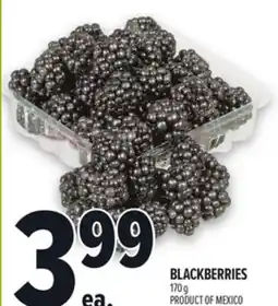Metro BLACKBERRIES offer