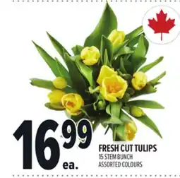 Metro FRESH CUT TULIPS offer