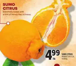 Metro SUMO CITRUS offer