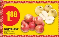 No Frills FUJI APPLES, YELLOW OR BROWN ASIAN PEARS offer