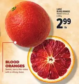 Metro LARGE BLOOD ORANGES offer