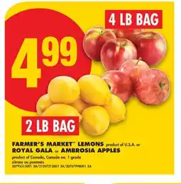 No Frills FARMER'S MARKET LEMONS, 2 LB BAG OR ROYAL GALA OR AMBROSIA APPLES, 4 LB BAG offer