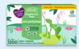 Walmart Parent's Choice wipes offer