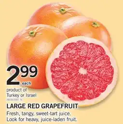 Fortinos LARGE RED GRAPEFRUIT offer