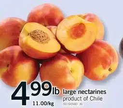 Fortinos LARGE NECTARINES offer