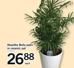 Fortinos NEANTHE BELLA PALM IN CERAMIC POT offer