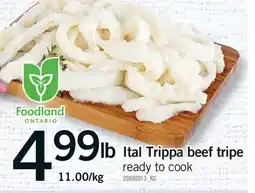 Fortinos ITAL TRIPPA BEEF TRIPE offer