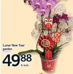 Fortinos LUNAR NEW YEAR GARDEN, 6 INCH offer