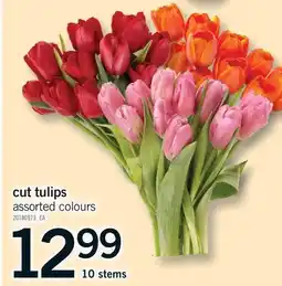 Fortinos CUT TULIPS, 10 STEMS offer