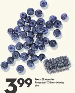 Longo's Fresh Blueberries offer
