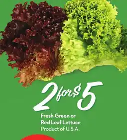 Longo's Fresh Green or Red Leaf Lettuce offer
