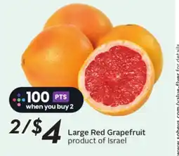 Sobeys Large Red Grapefruit offer