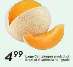 Sobeys Large Cantaloupes offer