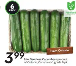Sobeys Mini Seedless Cucumbers offer