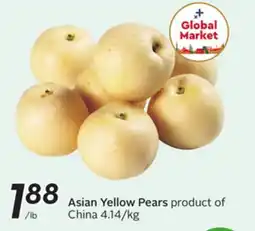 Sobeys Asian Yellow Pears offer