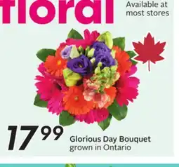 Sobeys Glorious Day Bouquet offer