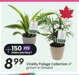 Sobeys Vitality Foliage Collection offer