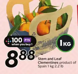 Sobeys Stem and Leaf Clementines offer