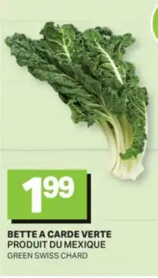 L'Intermarché BETTE A CARDE VERTE | GREEN SWISS CHARD offer