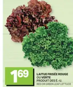 L'Intermarché LAITUE FRISÉE ROUGE OU VERTE | RED OR GREEN LEAF LETTUCE offer