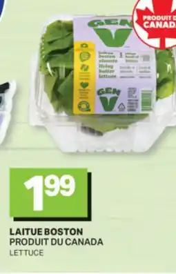 L'Intermarché LAITUE BOSTON | LETTUCE offer