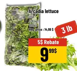 Mayrand Arcadia lettuce offer
