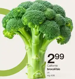 Avril brocoli bio offer
