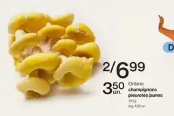 Avril champignons pleurotes jaunes offer