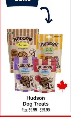 Ren’s Pets Depot Hudson Dog Treats offer