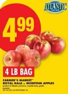 No Frills Farmer's market royal gala or mcintosh apples offer
