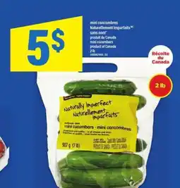 Maxi mini concombres Naturellement imparfaits offer