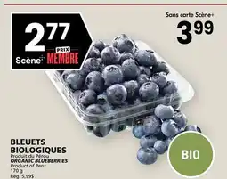 Rachelle-Bery Grocery ORGANIC BLUEBERRIES offer