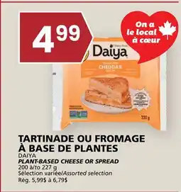 Rachelle-Bery Grocery DAIYA PLANT-BASED CHEESE OR SPREAD offer