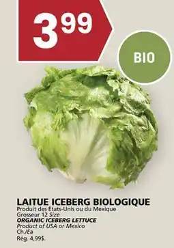 Rachelle-Bery Grocery LAITUE ICEBERG BIOLOGIQUE offer