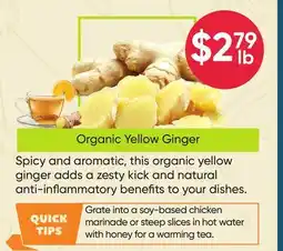 Healthy Planet Organic Yellow Ginger offer