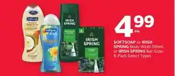 Rexall SOFTSOAP or IRISH SPRING Body Wash 591mL or IRISH SPRING Bar Soap 6-Pack offer