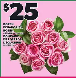 Independent City Market DOZEN ECUADORIAN ROSES offer