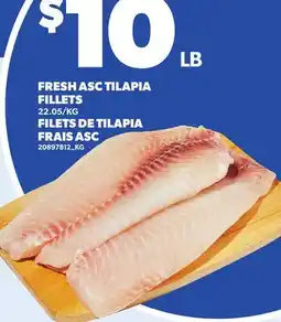 Independent City Market FRESH ASC TILAPIA FILLETS offer
