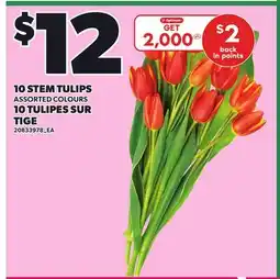 Independent City Market 10 STEM TULIPS offer