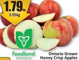 Starsky Ontario Grown Honey Crisp Apples offer