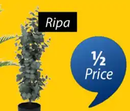 JYSK Ripa Artificial potted plant offer
