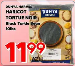 Marche Salaberry DUNYA HARVEST HARICOT TORTUE NOIR offer