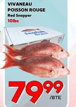 Marche Salaberry VIVANEAU POISSON ROUGE offer